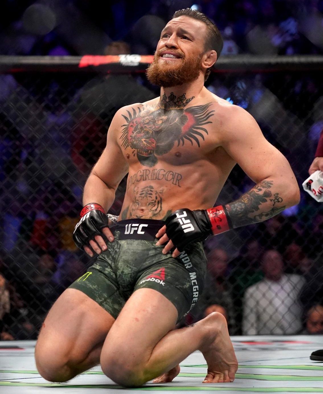 wallpaper McGregor - اخبار استقلال wallpaper McGregor