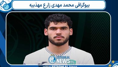 بیوگرافی محمد مهدی زارع مهذبیه