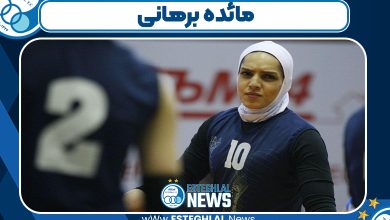 مائده برهانی کیست