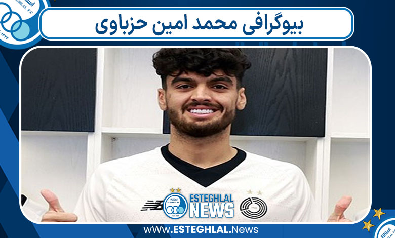 بیوگرافی محمد امین حزباوی