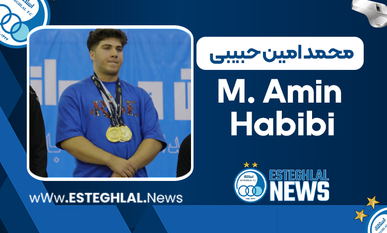 بیوگرافی محمدامین حبیبی – Mohammad Amin Habibi