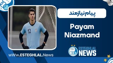 بیوگرافی پیام نیازمند