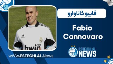 بیوگرافی فابیو کاناوارو