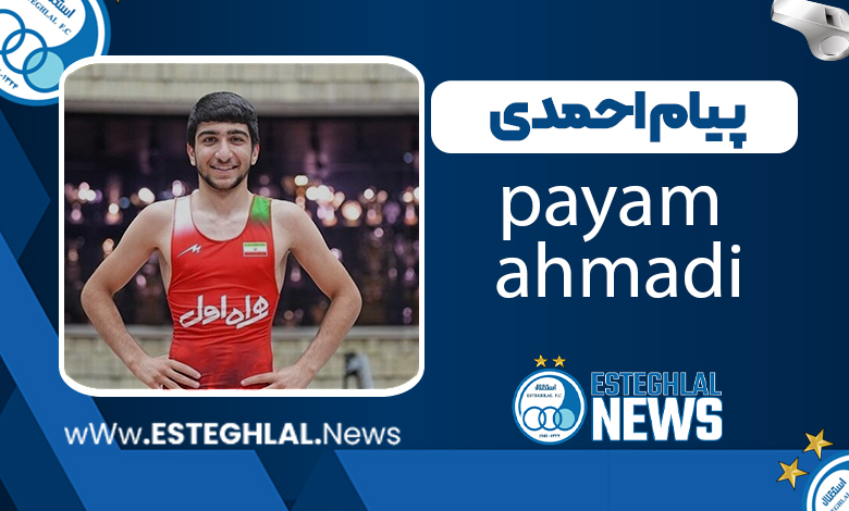 بیوگرافی پیام احمدی – payam ahmadi