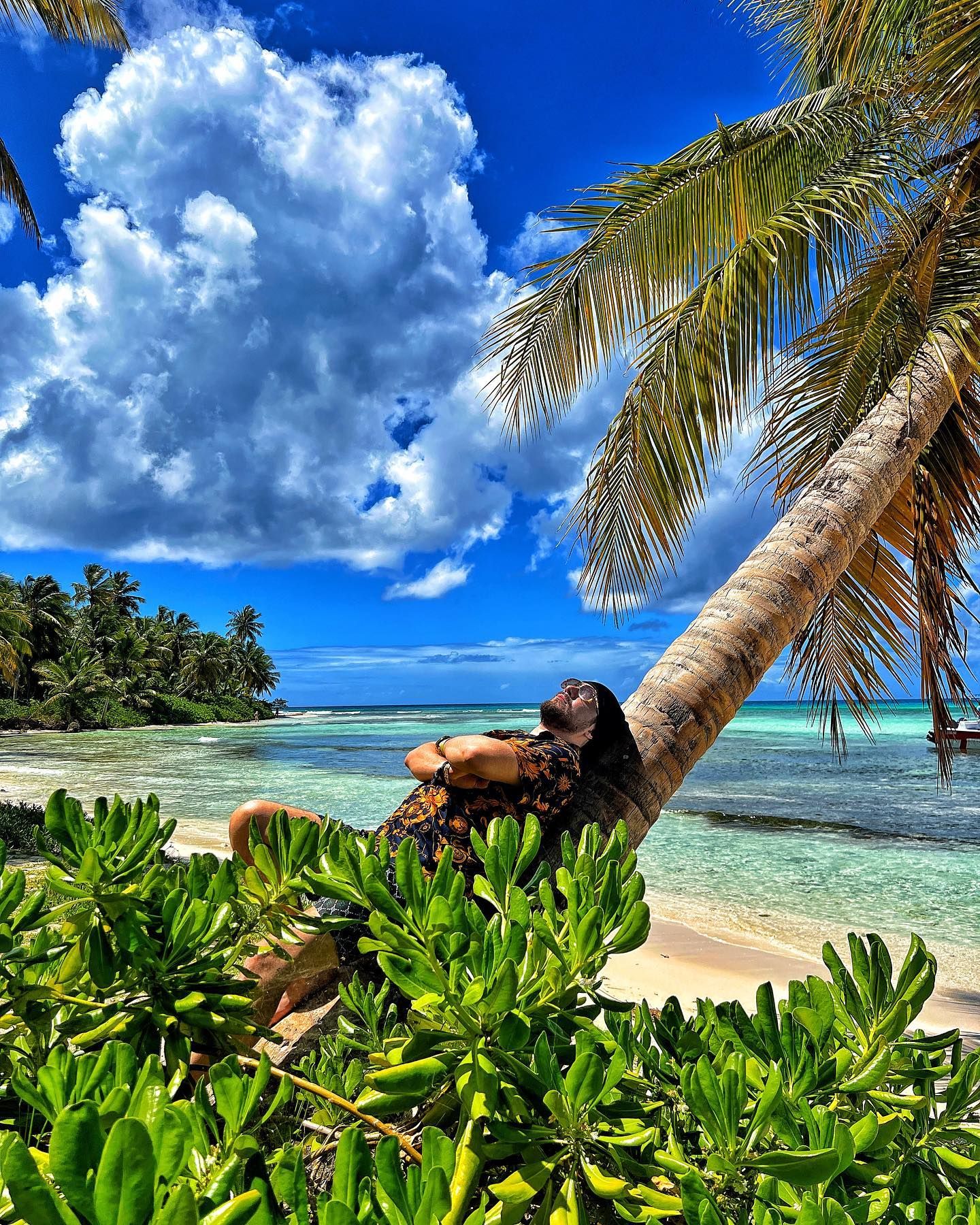 عارف غفوری شعبده باز  فعالیت تجاری