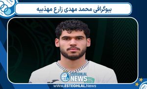بیوگرافی محمد مهدی زارع مهذبیه