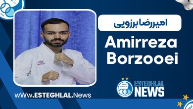 امیر رضا برزویی