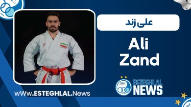 بیوگرافی علی زند