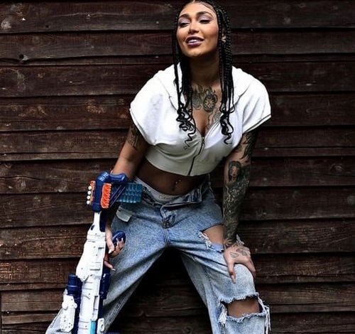 عکس گندم رپر