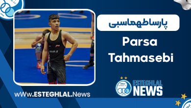 پارسا طهماسبی