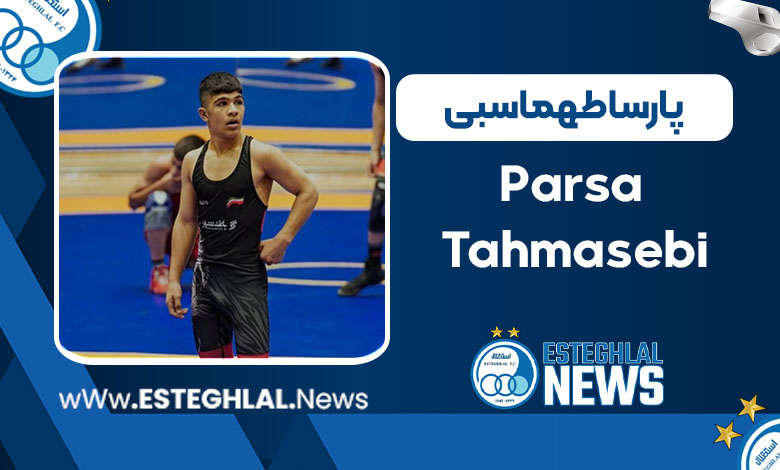 پارسا طهماسبی