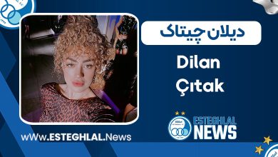 بیوگرافی دیلان چیتاک