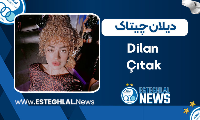 بیوگرافی دیلان چیتاک